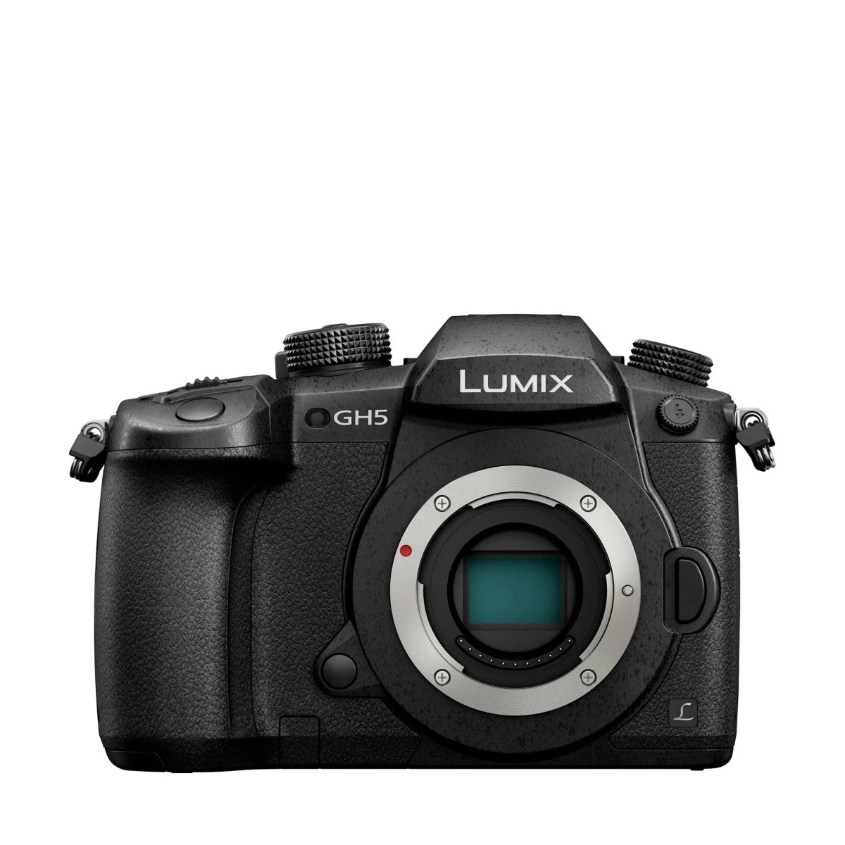 Sell used Panasonic Lumix GH5